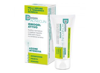 Dermovitamina acneclin idrogel 40 ml