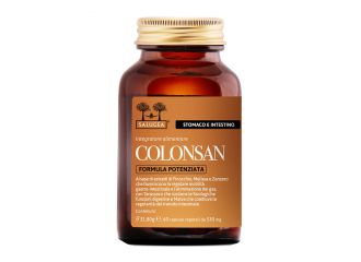 Salugea colonsan formula potenziata 60 capsule