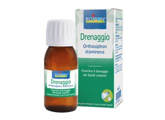 Orthosiphon stamineus estratto idroalcolico 60 ml int