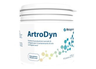 Artrodyn 60 porzioni 275 g