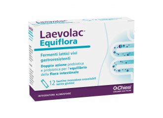 Laevolac equiflora 12 buste