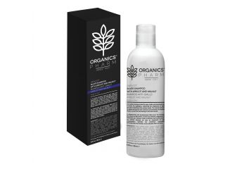 Organics silver shampoo with walnut and apricot anti giallo 250 ml