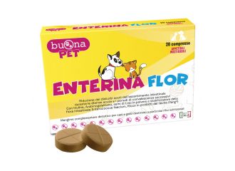 Enterina flor 20 compresse