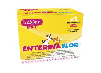 Enterina flor 100 compresse