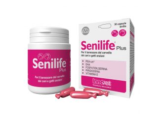 Senilife plus 30 capsule