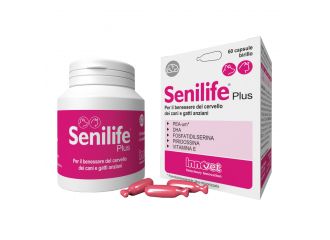 Senilife plus 60 capsule