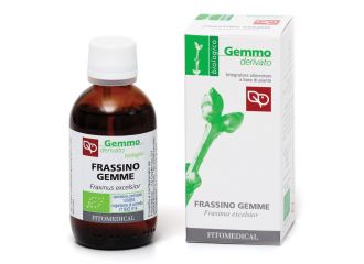 Frassino gemme macerato glicerinato bio 50 ml