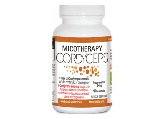 Micotherapy cordyceps 90 capsule