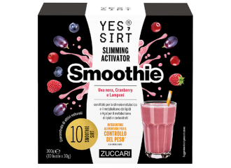 Yes sirt smoothie uva nera-cranberry-lamponi 10x30 g