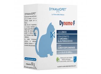 Dynamo f gatti 20 bustine appetibili da 2,5 g