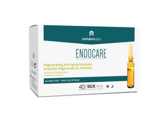 Endocare ampolle biorepar 14 fiale da 1 ml