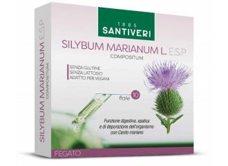 Silybum marianum l esp 10 fiale da 10 ml