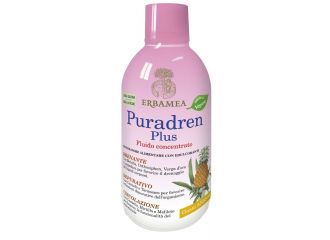 Puradren plus ananas 500 ml