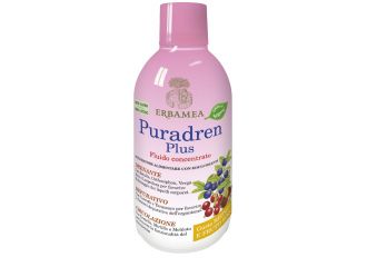 Puradren plus mirtillo frutti rossi 500 ml