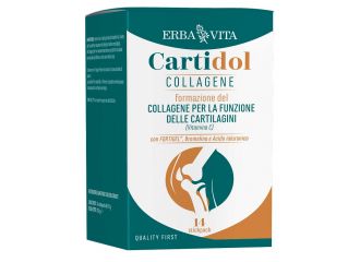 Cartidol collagene 14 bustine