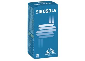 Sibosolv 60 capsule acidoresistenti